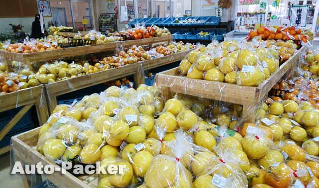 道の駅 うわじまきさいや広場