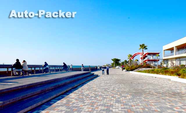 鳥居崎海浜公園