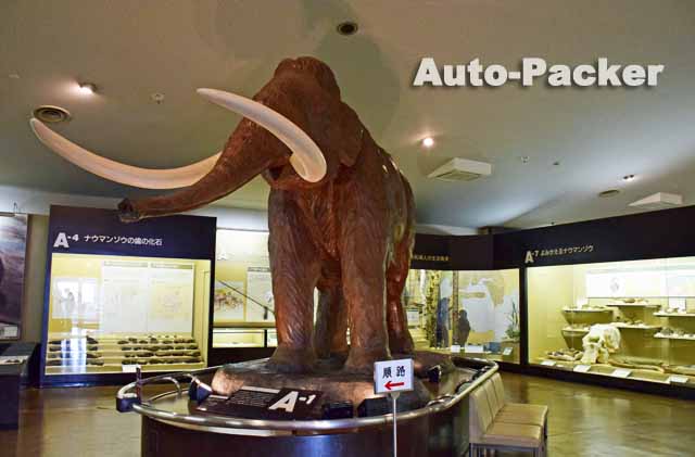 野尻湖ナウマンゾウ博物館