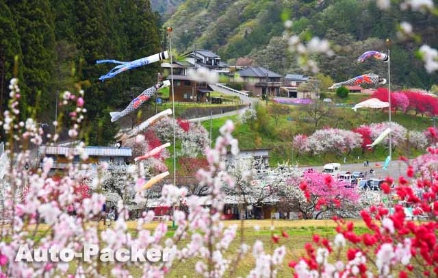 花桃の里　撮影ポイント