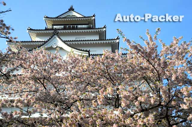 鶴ヶ城さくらまつり