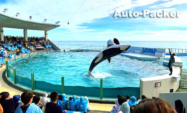 鴨川シーワールド