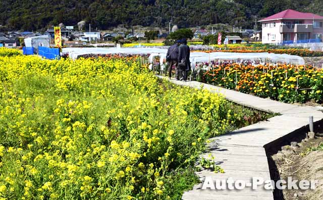 道の駅 ちくら潮風王国