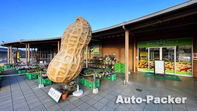 道の駅 木更津うまくたの里