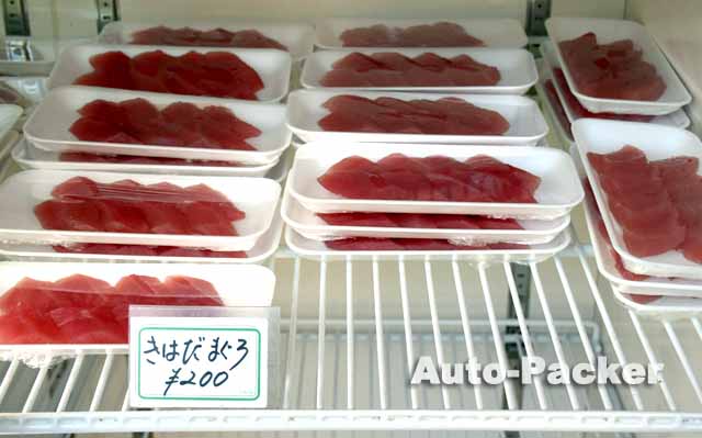 勝浦　生マグロ