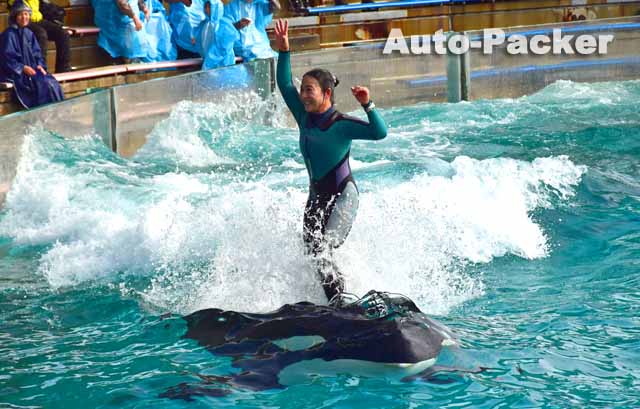 鴨川シーワールド