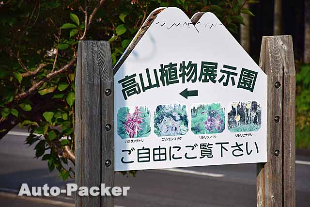 利尻島　高山植物展示園