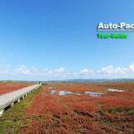 網走に近い能取湖・卯原内地区には、秋になると赤く色づくサンゴ草の群生地がある。