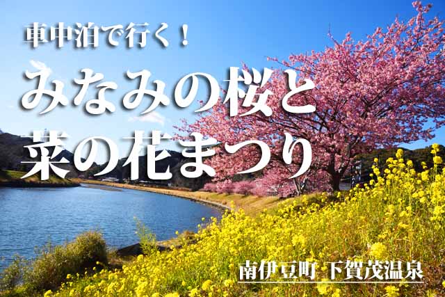 みなみの桜と菜の花まつり 車中泊