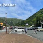 道の駅 星のふる里ふじはし