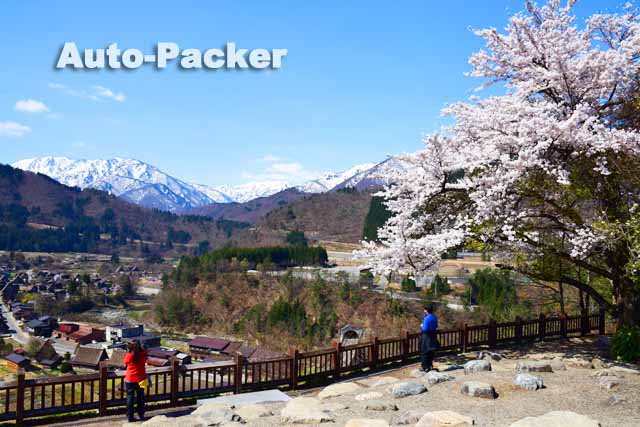 白川郷　城山展望台　