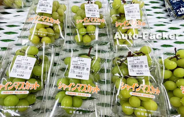 道の駅 美濃にわか茶屋