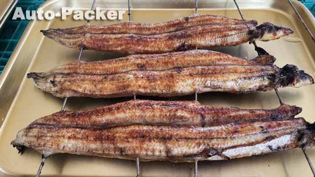 浜名湖のうなぎ