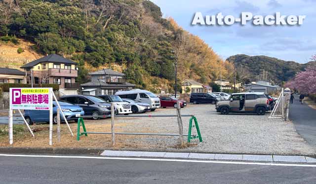 みなみの桜と菜の花まつり　無料駐車場