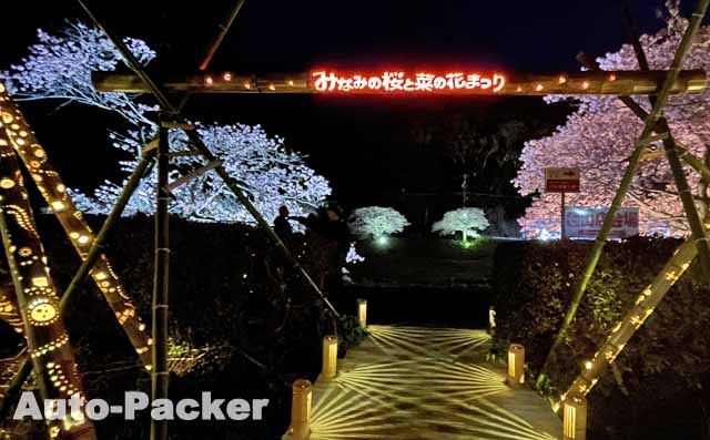みなみの桜と菜の花まつり