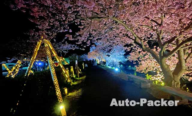道の駅下賀茂温泉湯の花