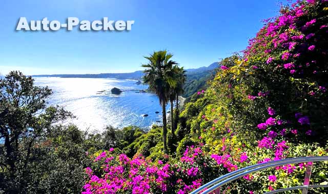 尾ヶ崎ウイング 