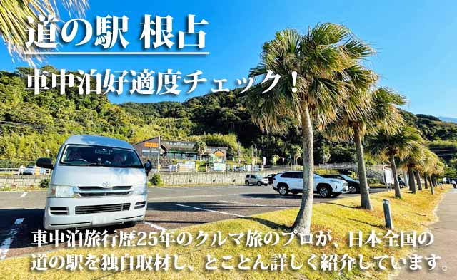 道の駅 根占 車中泊