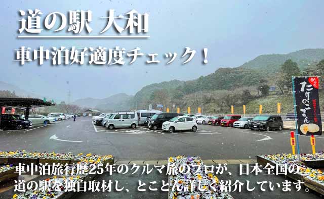 道の駅 大和 車中泊