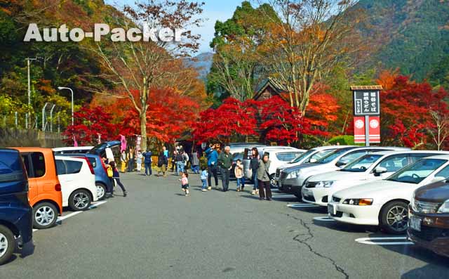 祖谷そば　もみじ