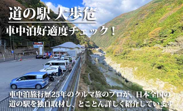 道の駅 大歩危 車中泊