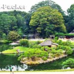 岡山 後楽園
