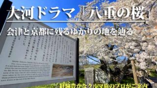 八重の桜　ゆかりの地