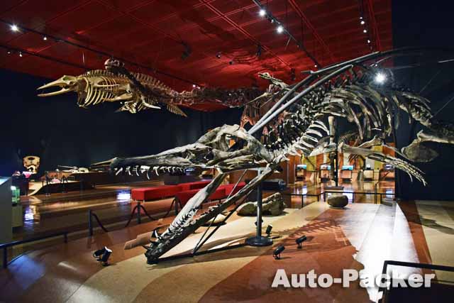 いわき市石炭・化石館（ほるる）