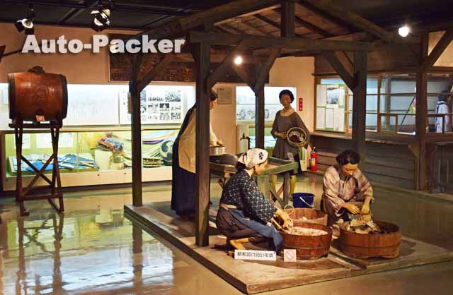 いわき市石炭・化石館ほるる