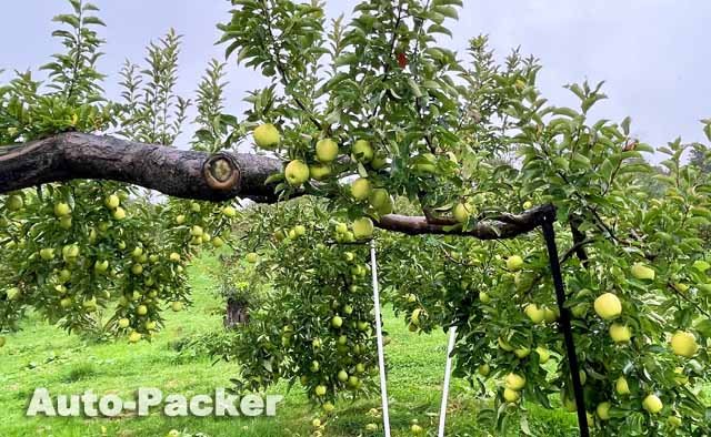 道の駅 なみおか アップルヒル