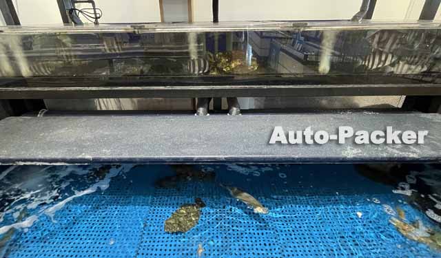 道の駅大谷海岸