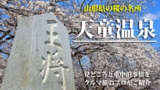 天童公園　お花見ガイド