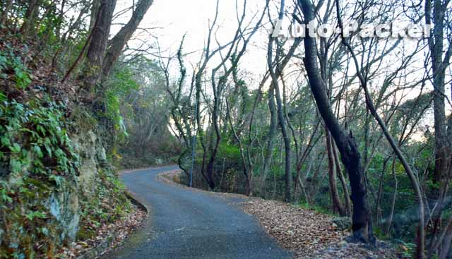 みなとの見える丘公園