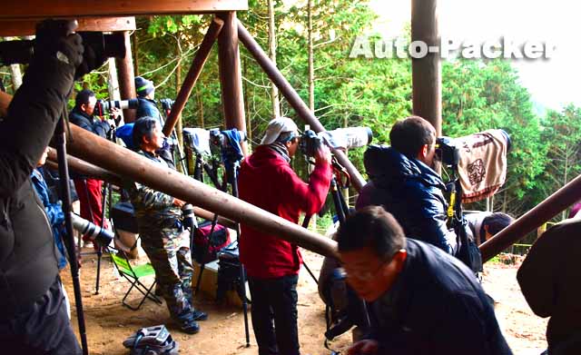 備中松山城雲海展望台