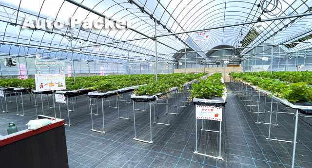 道の駅 黒井山グリーンパーク