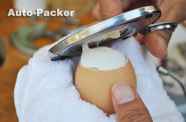 城崎温泉 ぷるぷる温泉たまご