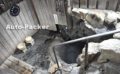 熊野詣の湯垢離場（ゆごりば）　湯の峰温泉の謎