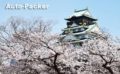 大阪城の桜のお勧め撮影スポットは「西の丸庭園」【クルマ旅のプロが解説】