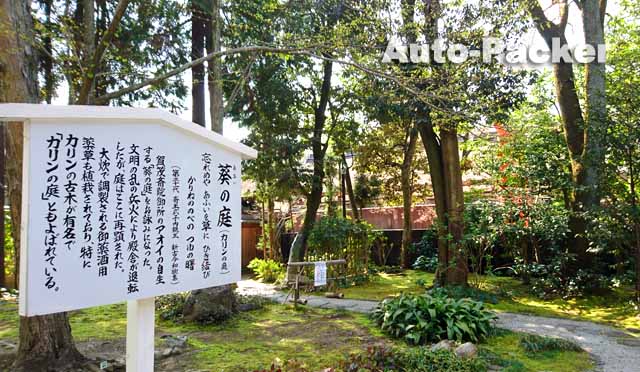 下鴨神社　葵の庭