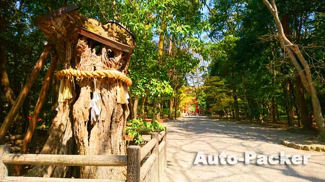 下鴨神社　糺の森