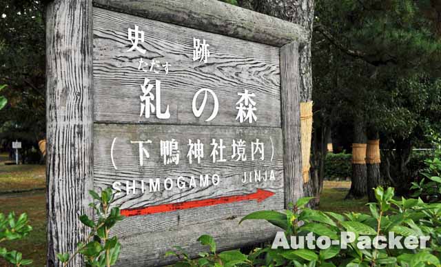 下鴨神社　糺の森