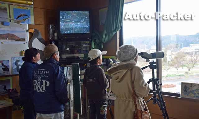  湖北町野鳥センター