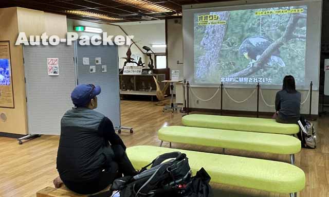  湖北町野鳥センター