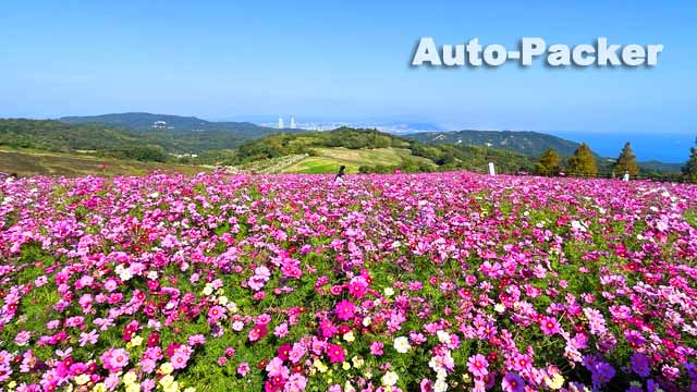 兵庫県立公園あわじ花さじき