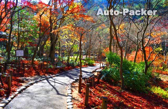 瑞宝寺公園 有馬温泉 紅葉