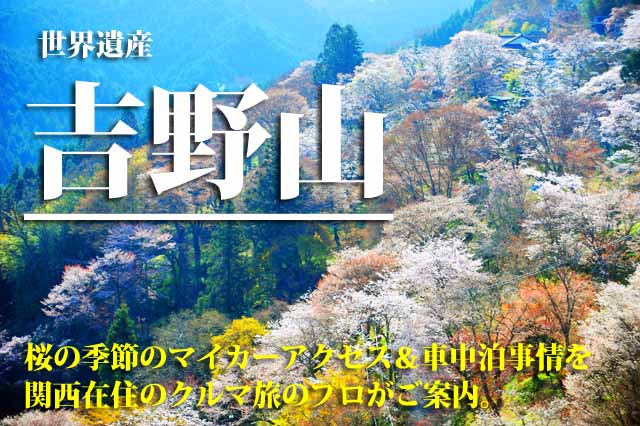 吉野山　桜