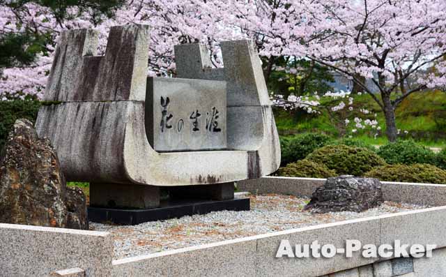 彦根城 花の生涯